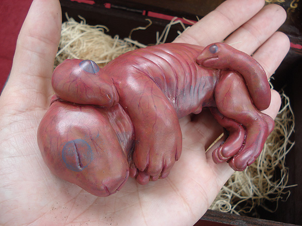 Chimera Fetus